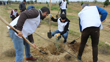 atesgah-sigorta-qrupunun-emekdaslari-nesimi-650-agacekme-layihesine-qatiliblar